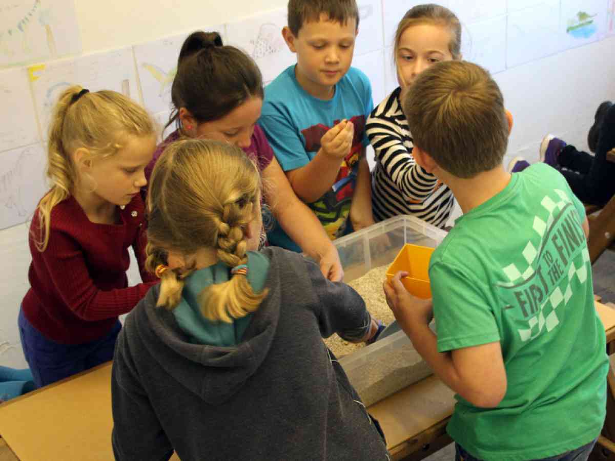 Dinosaur Expeditions picture gallery